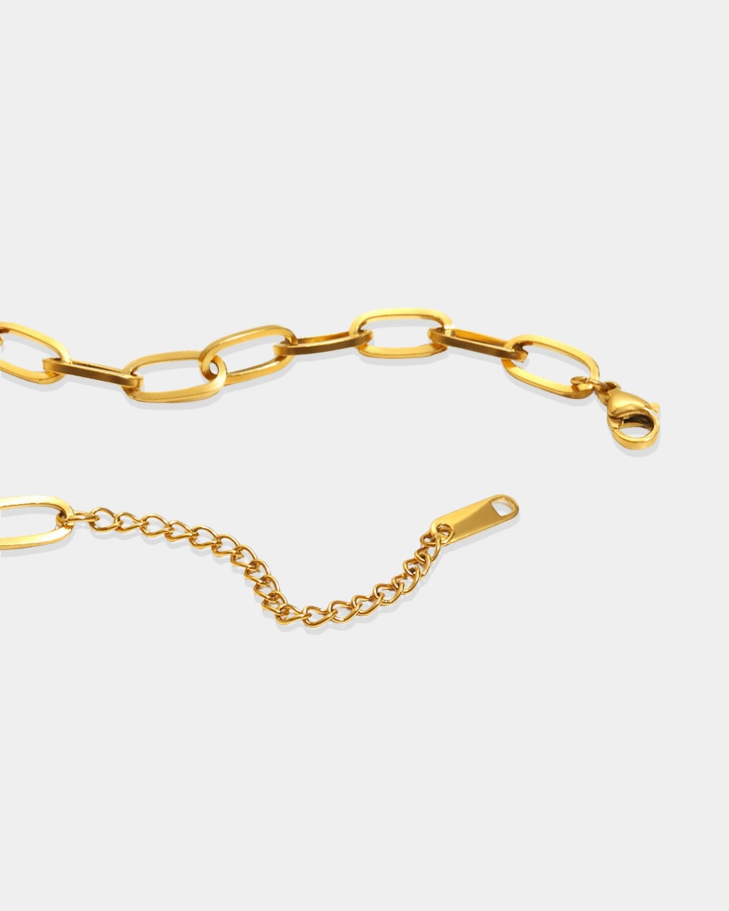 Gold_Nyra_Thal_Charm_Necklace_3