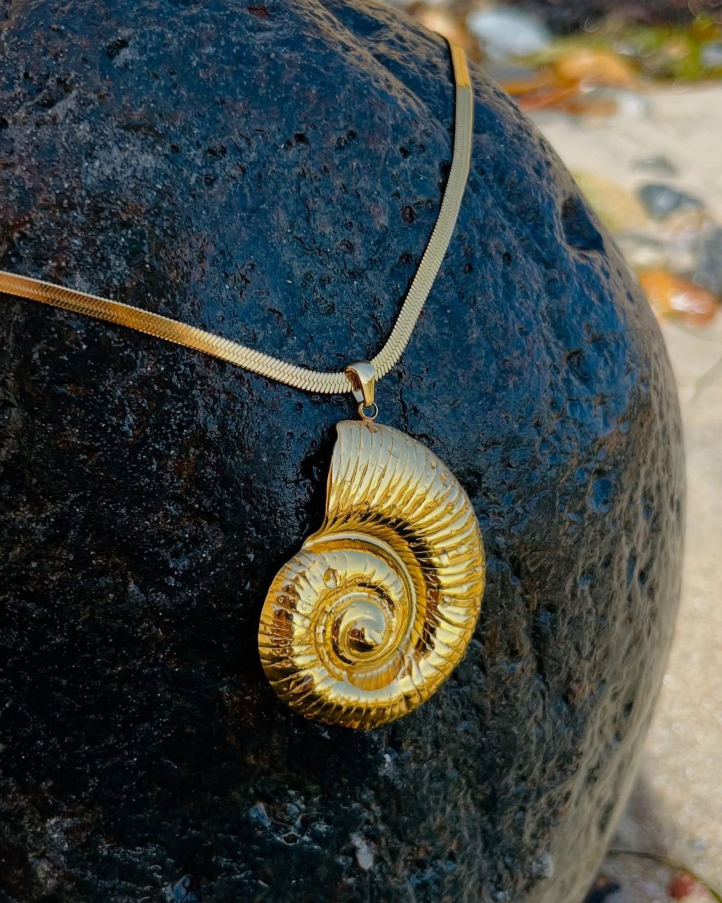Gold Shell Fossil Necklace